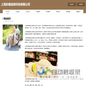 上海珍羲信息科技有限公司-首页